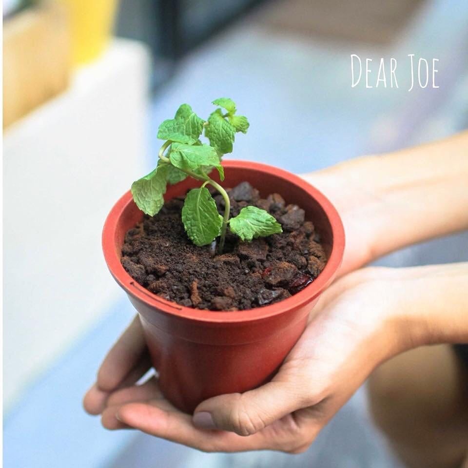 Những món đồ uống lạ ảnh 2 Nhung mon do uong la anh 2