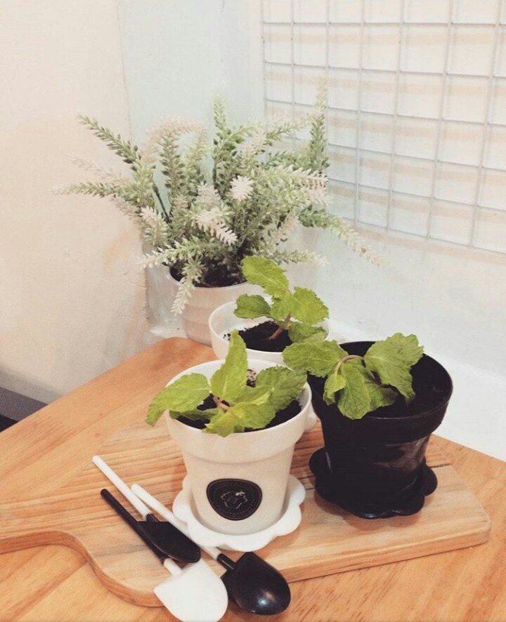 Những món đồ uống lạ ảnh 3 Nhung mon do uong la anh 3