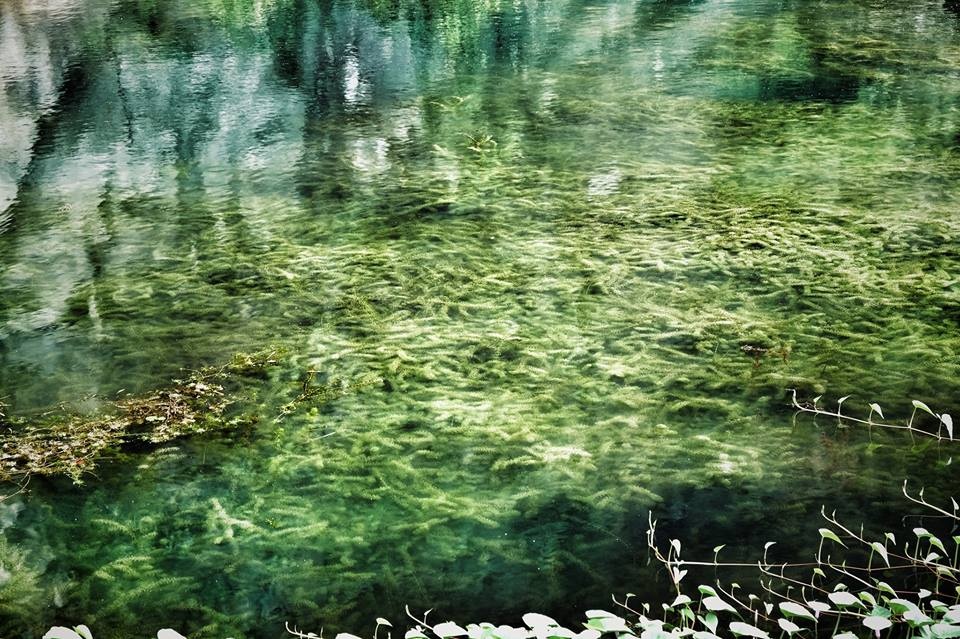 Tuyệt tình cốc ảnh 6 Tuyet tinh coc anh 6