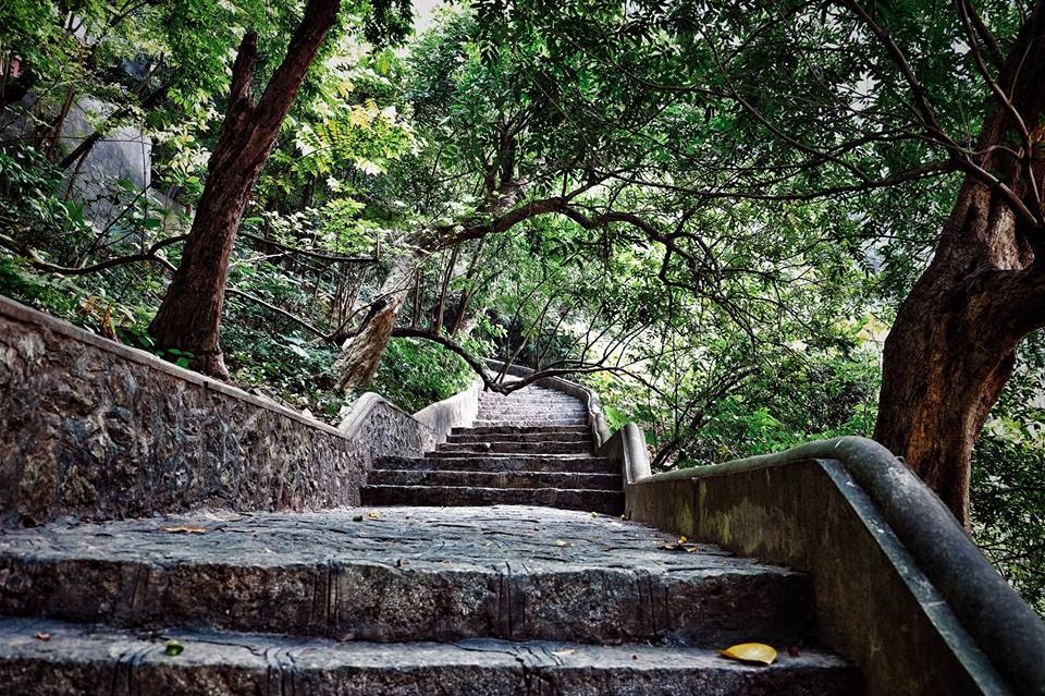 Tuyệt tình cốc ảnh 8 Tuyet tinh coc anh 8