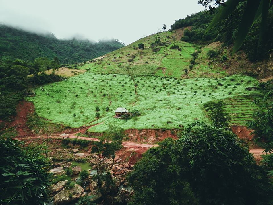 Du lịch Mộc Châu ảnh 3 Du lich Moc Chau anh 3