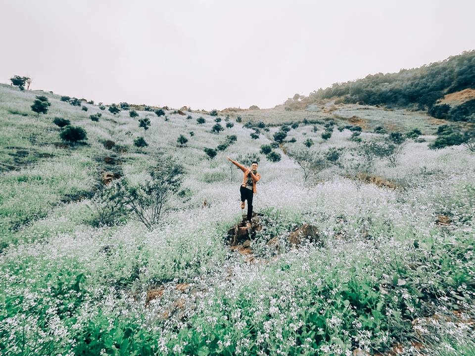 Du lịch Mộc Châu ảnh 5 Du lich Moc Chau anh 5