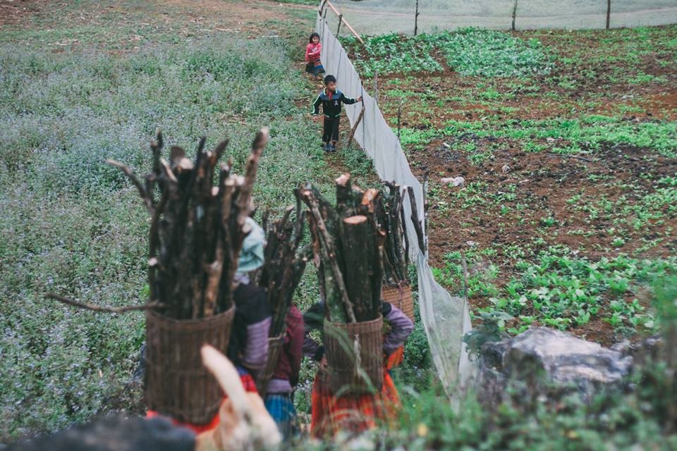 Du lịch Mộc Châu ảnh 7 Du lich Moc Chau anh 7