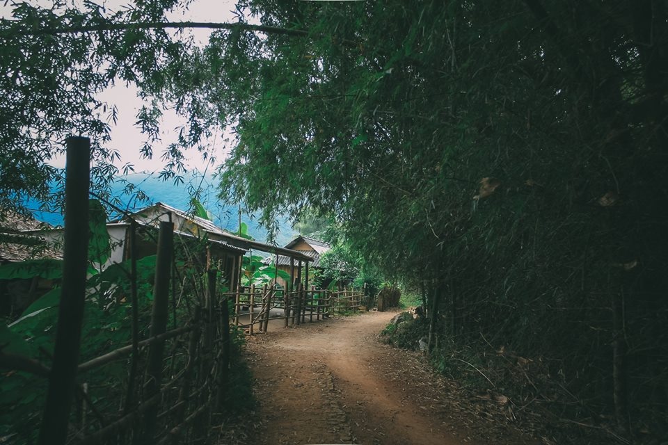 Du lịch Mộc Châu ảnh 1 Du lich Moc Chau anh 1