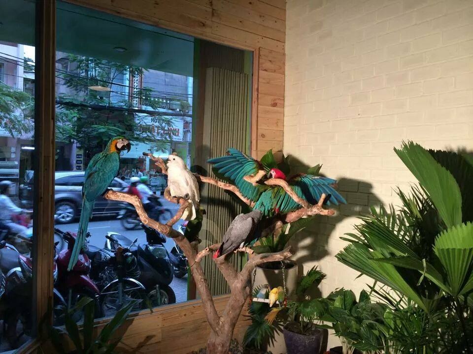 Quán cà phê ảnh 15 Quan ca phe anh 15