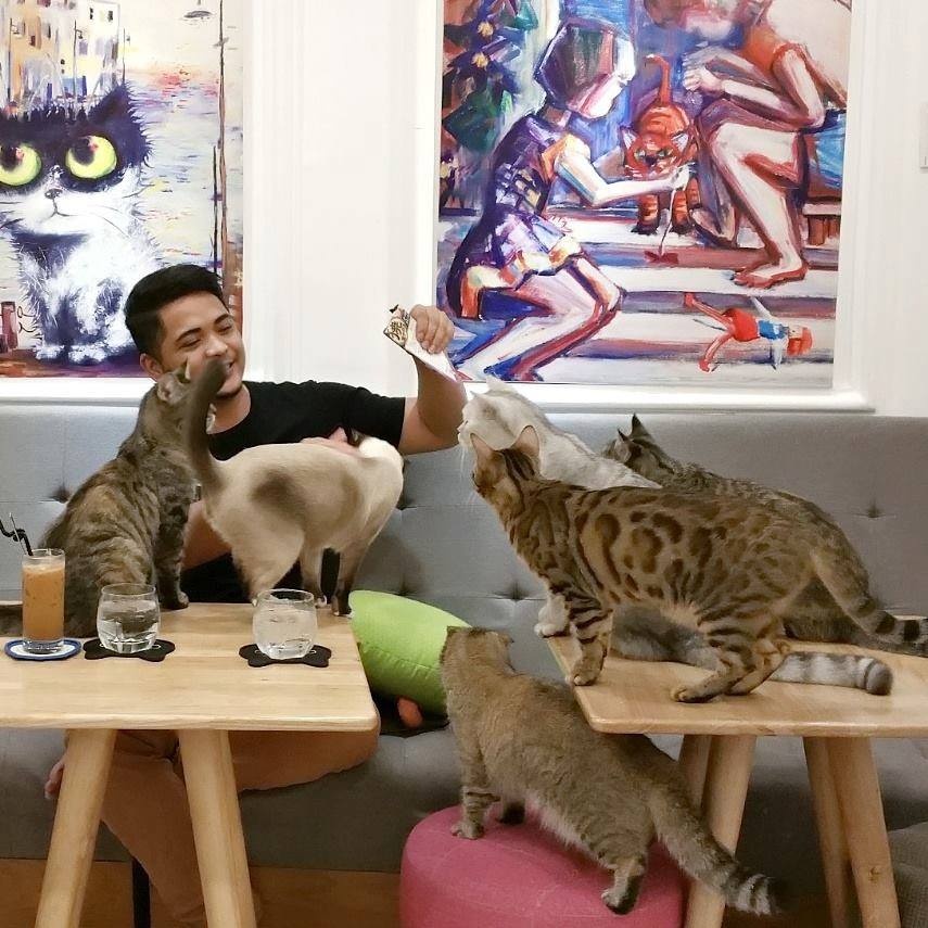 Quán cà phê ảnh 12 Quan ca phe anh 12