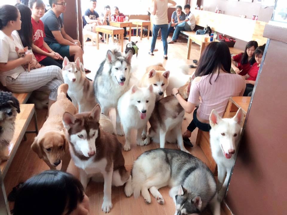 Quán cà phê ảnh 7 Quan ca phe anh 7