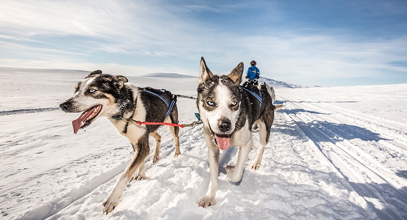 Co hoi de phuot thu Viet gianh quyen chinh phuc Bac Cuc hinh anh