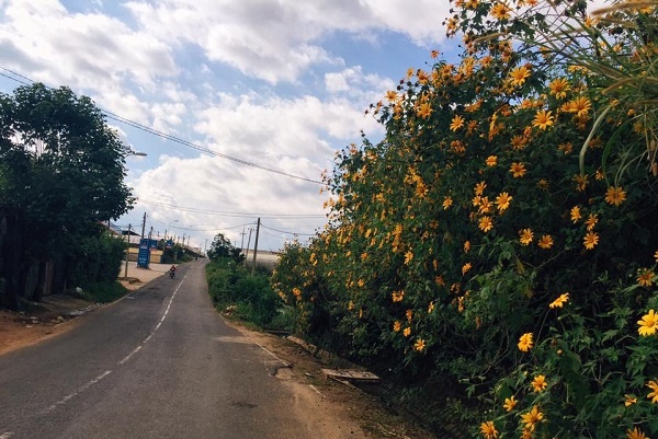 Đà Lạt có gì ảnh 3 Da Lat co gi anh 3