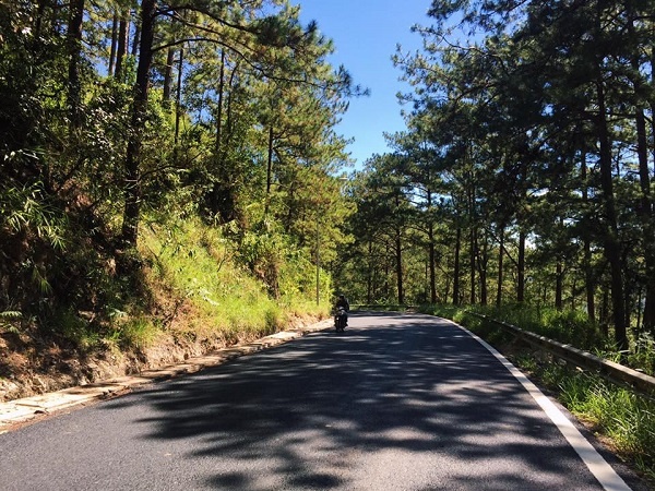 Đà Lạt có gì ảnh 1 Da Lat co gi anh 1