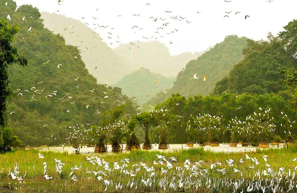 Du lịch Ninh Bình ảnh 15 Du lich Ninh Binh anh 15