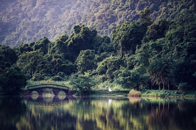 Du lịch Ninh Bình ảnh 8 Du lich Ninh Binh anh 8