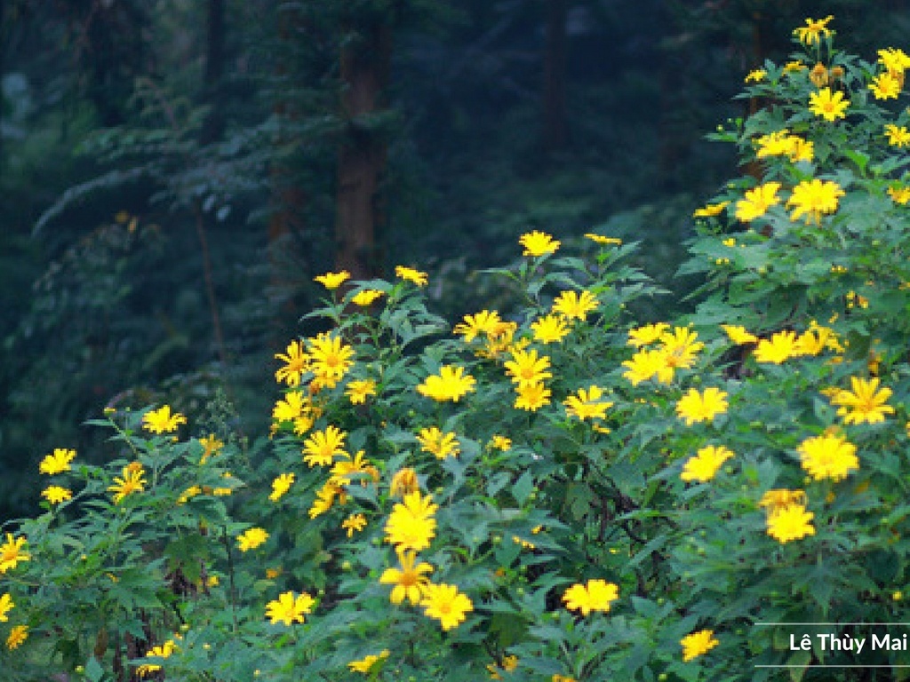 Nghi Tet Duong lich di dau anh 9