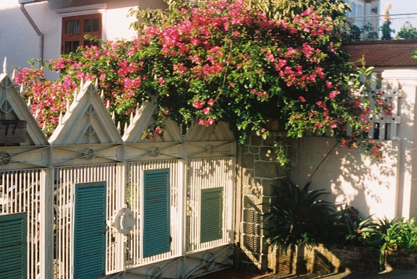 Du lịch Đà Lạt ảnh 3 Du lich Da Lat anh 3
