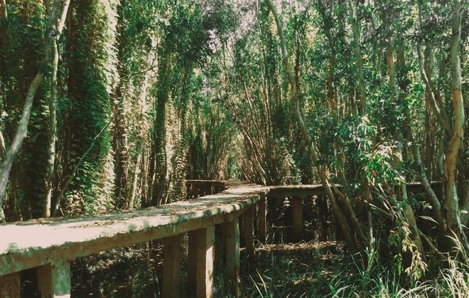 Nhung diem du lich dep ngat ngay tai mien Tay cho dip Tet hinh anh