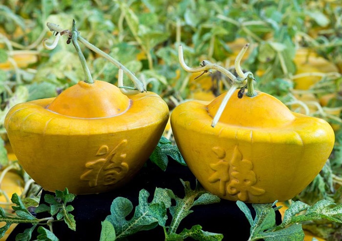 Mâm ngũ quả ngày Tết ảnh 8 Mam ngu qua ngay Tet anh 8