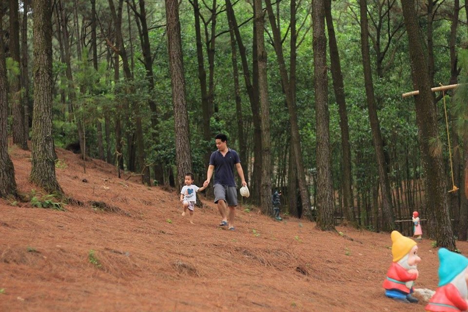 Những địa điểm du lịch gần Hà Nội ảnh 6 Nhung dia diem du lich gan Ha Noi anh 6