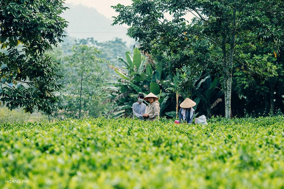 Tân Cương Thái Nguyên ảnh 4 Tan Cuong Thai Nguyen anh 4