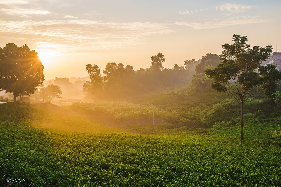 Tân Cương Thái Nguyên ảnh 7 Tan Cuong Thai Nguyen anh 7