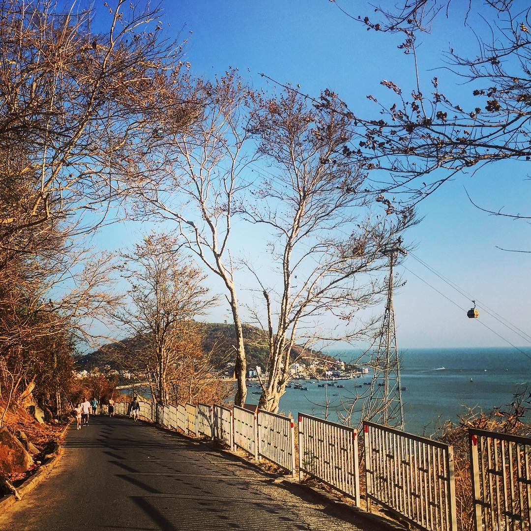 Du lịch Vũng Tàu ảnh 1 Du lich Vung Tau anh 1
