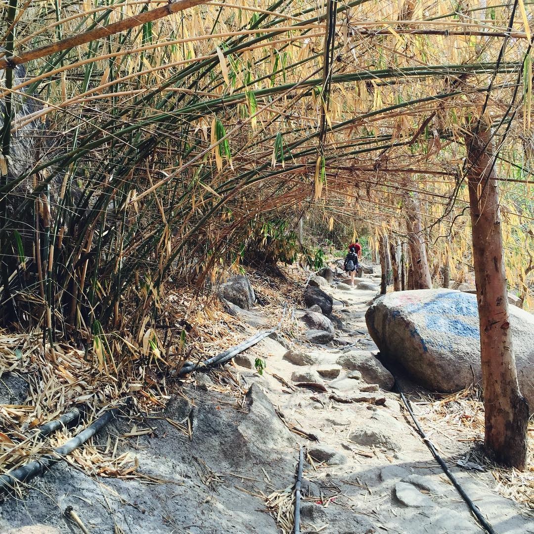 Du lịch Vũng Tàu ảnh 6 Du lich Vung Tau anh 6