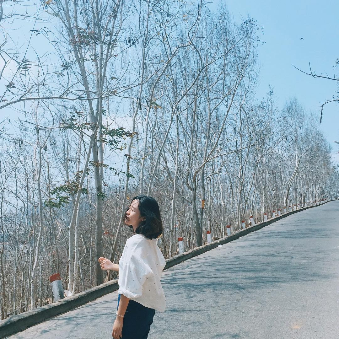 Du lịch Vũng Tàu ảnh 8 Du lich Vung Tau anh 8