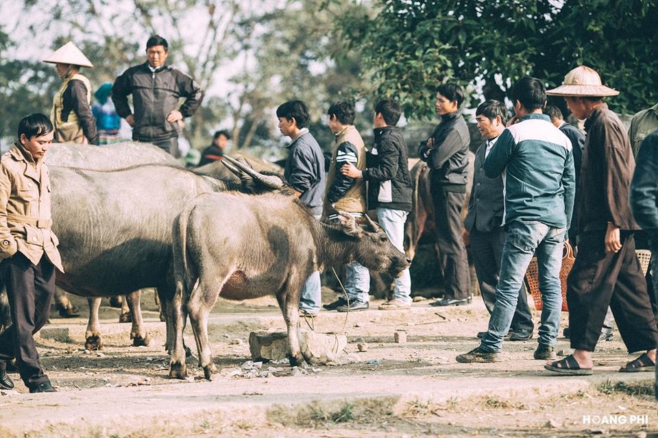Du lịch Lào Cai ảnh 15 Du lich Lao Cai anh 15