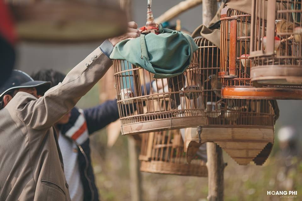 Du lịch Lào Cai ảnh 18 Du lich Lao Cai anh 18