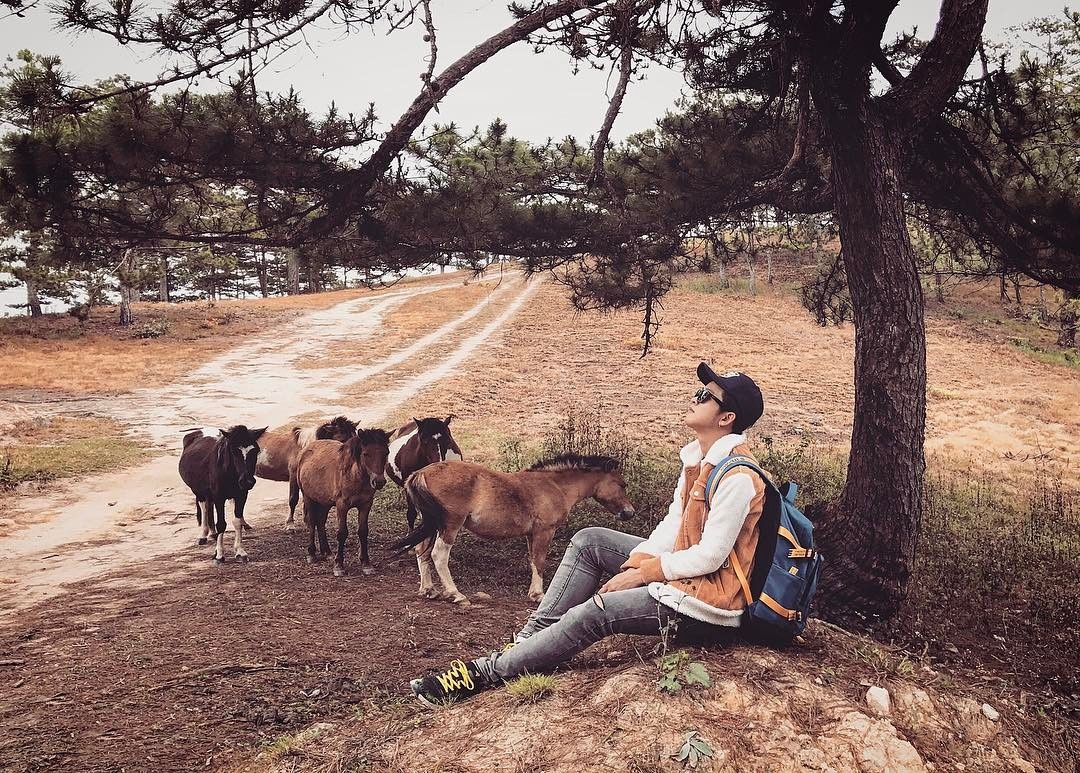 Du lich Da Lat anh 1