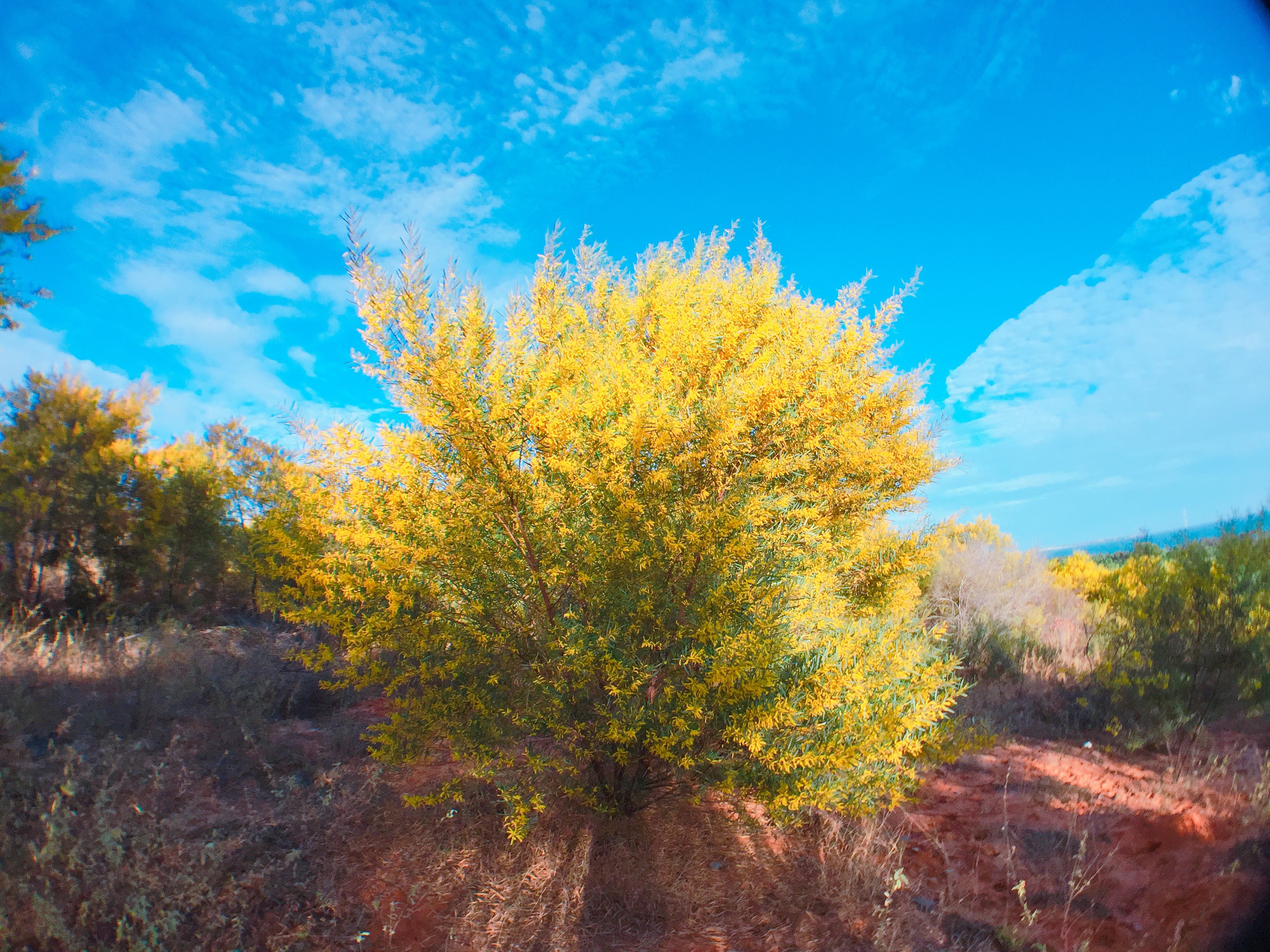 Bat mi dia diem 'song ao' moi la nhat tai Phan Thiet mua nay hinh anh