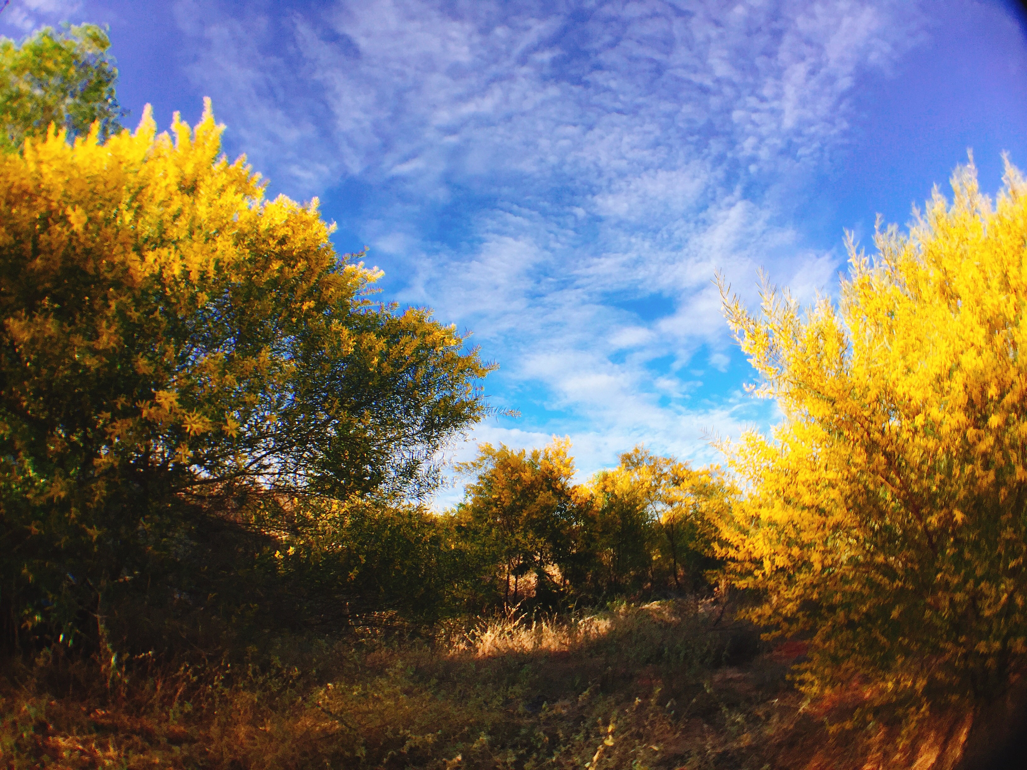 Diem check-in doc dao o Phan Thiet anh 4