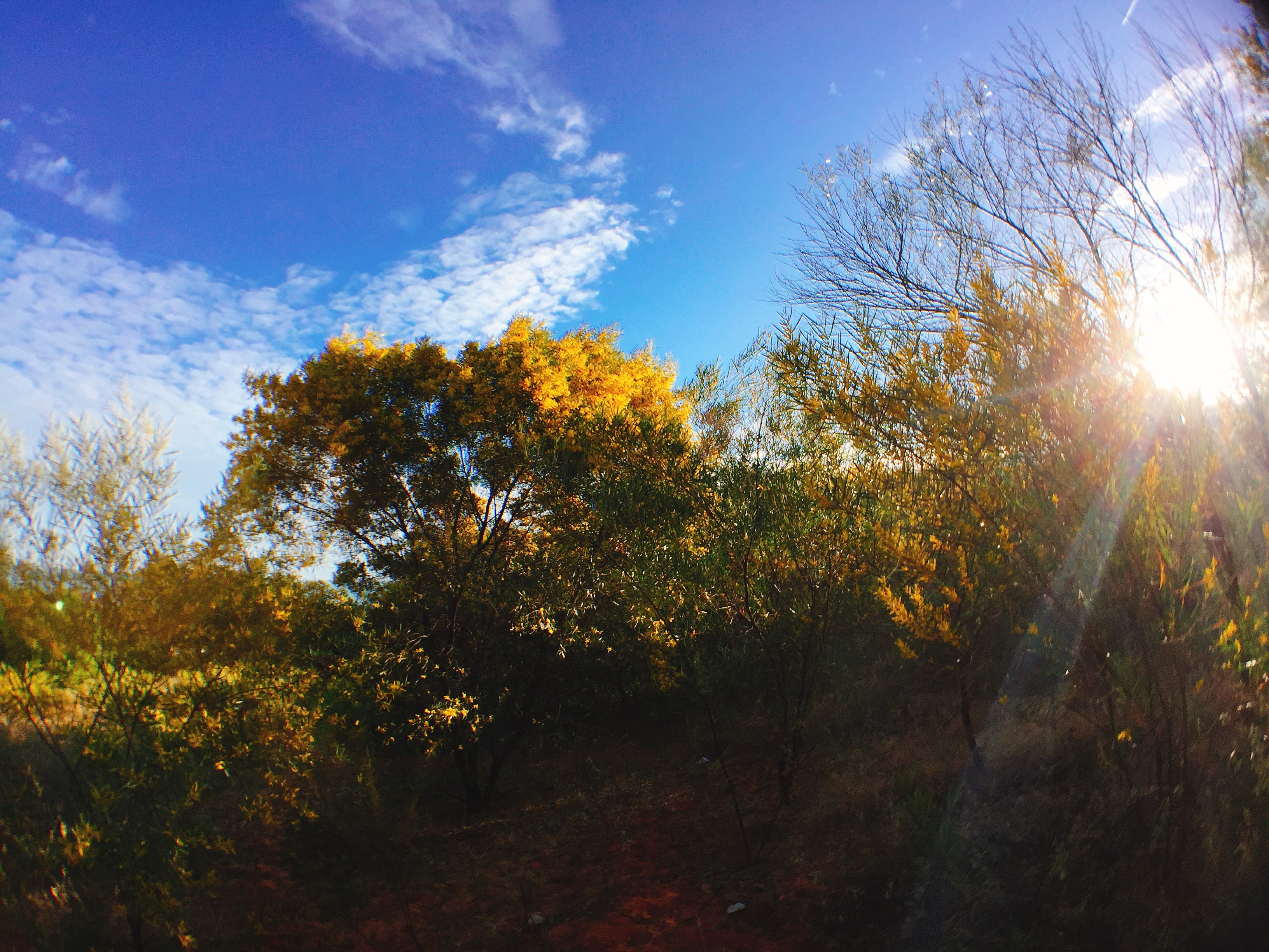 Diem check-in doc dao o Phan Thiet anh 5