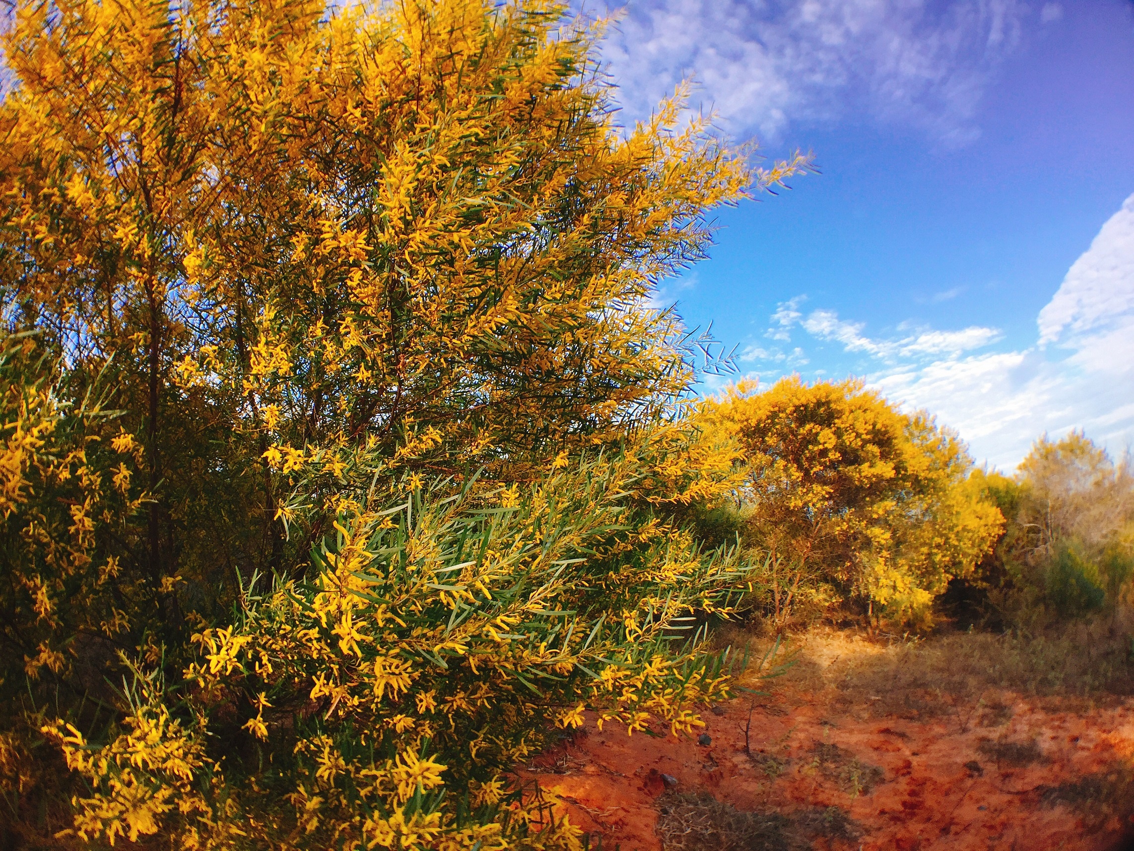 Diem check-in doc dao o Phan Thiet anh 6