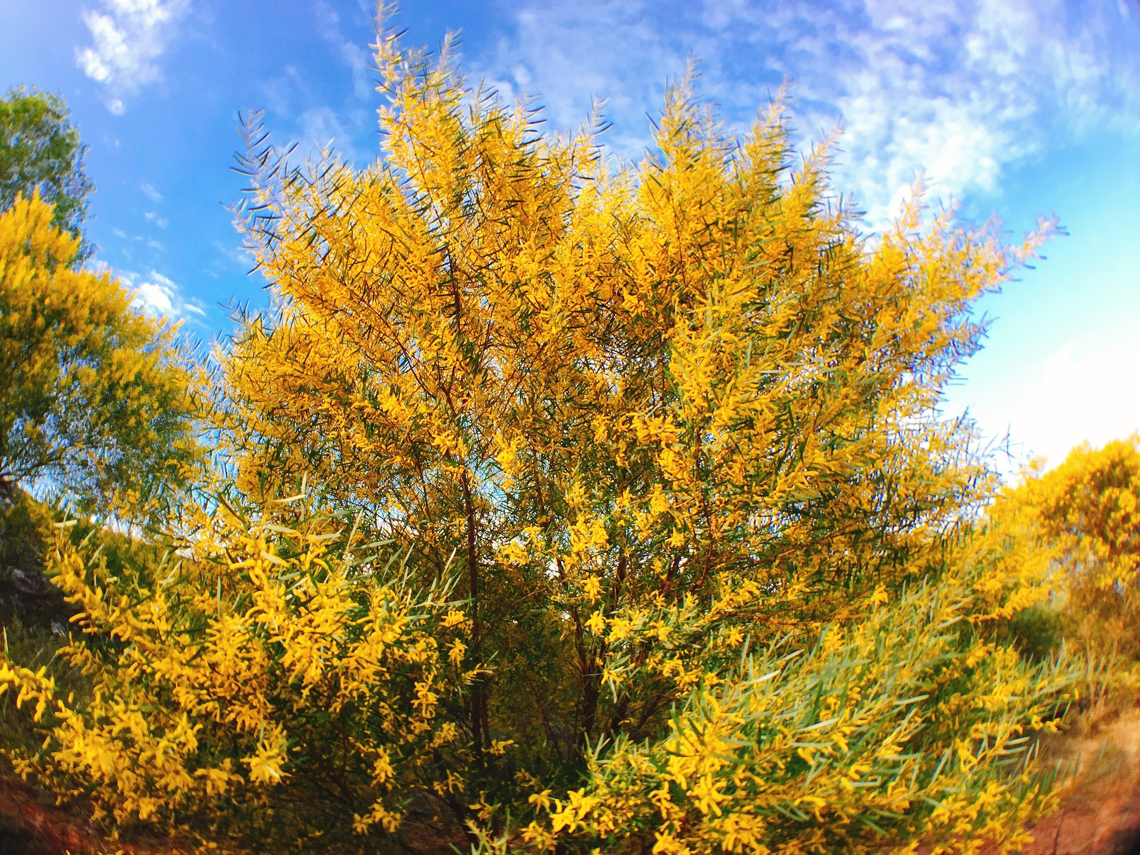 Diem check-in doc dao o Phan Thiet anh 2