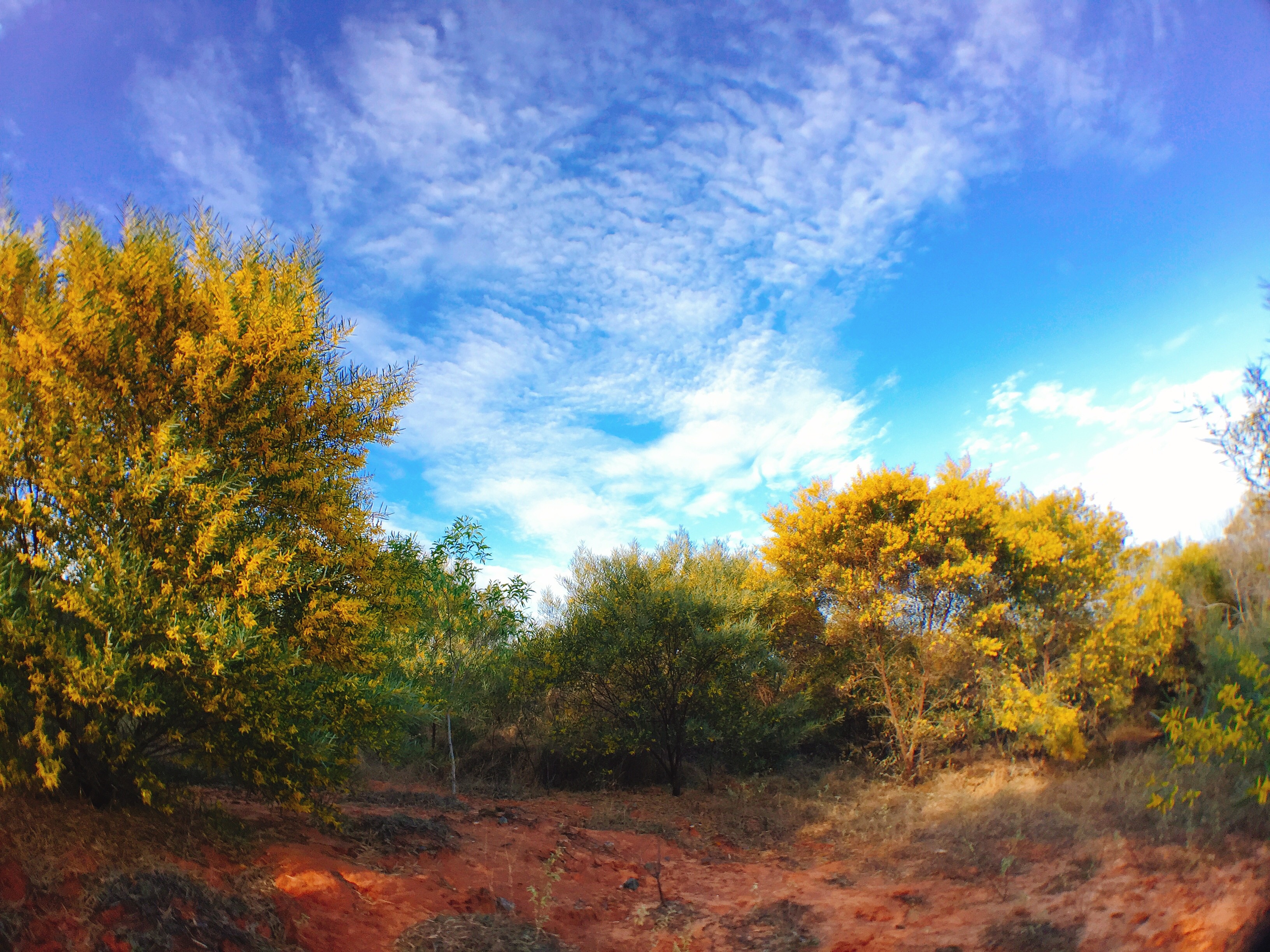 Diem check-in doc dao o Phan Thiet anh 3