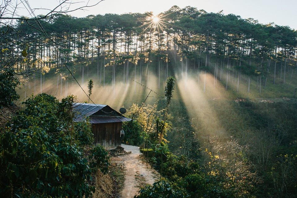 Co mot Da Lat rat 'tinh' cho nhung chuyen phieu du hinh anh