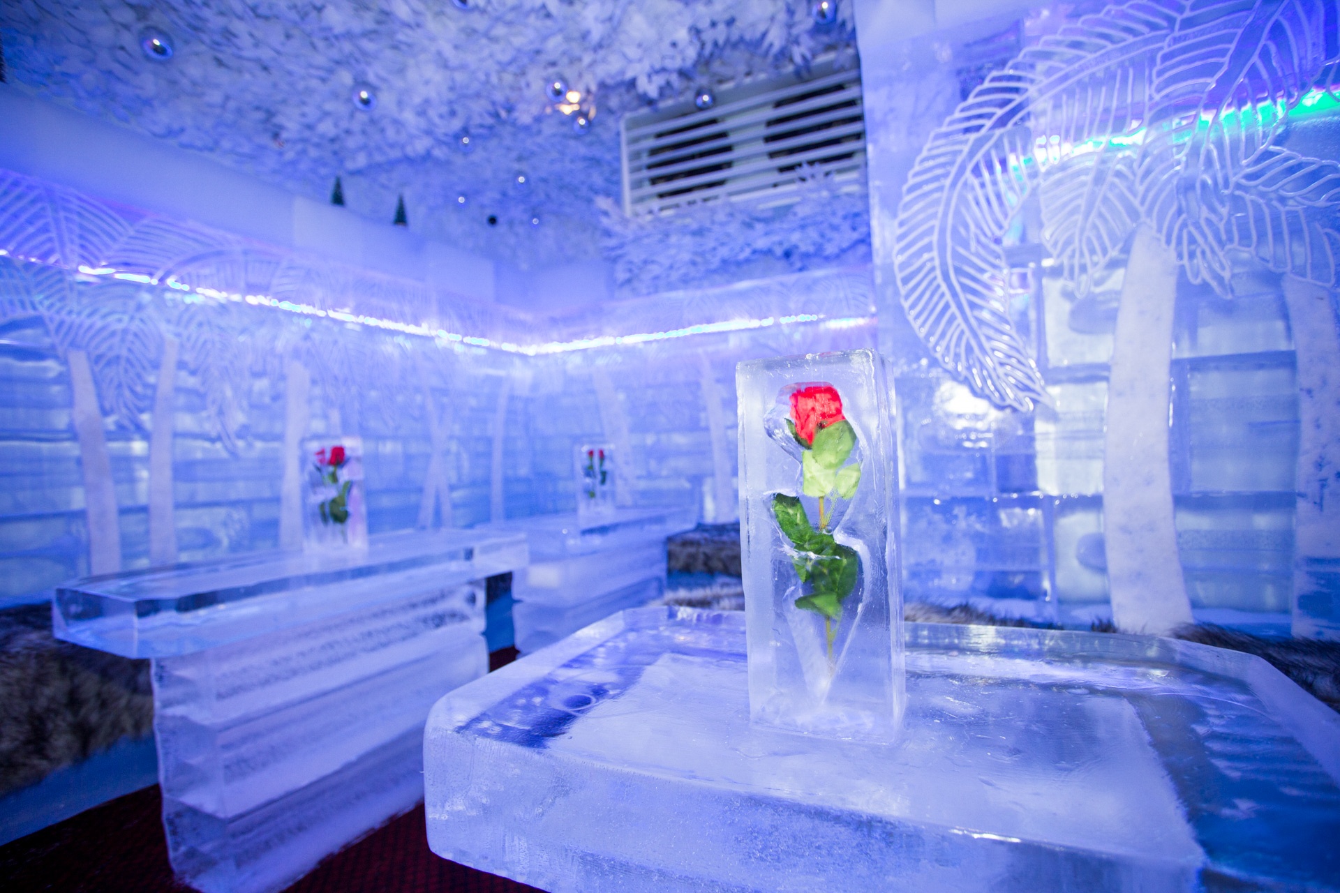 Quan ca phe Sai Gon anh 10