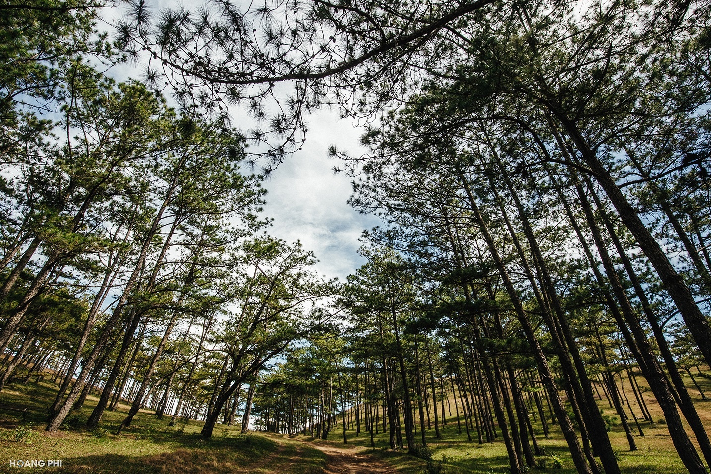 Da Lat luon dep trong con mat cua nhung ke mong mo hinh anh