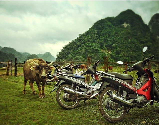 Viet Nam qua lang kinh Jordan Vogt-Roberts anh 6