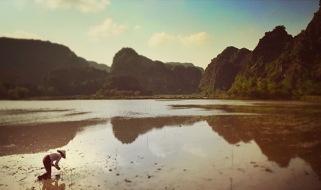 Viet Nam qua lang kinh Jordan Vogt-Roberts anh 17