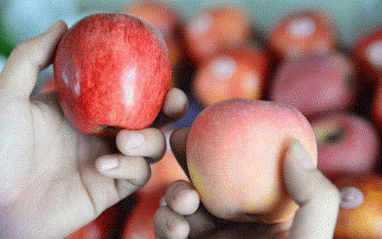 Trac nghiem: Phan biet thuc pham ban - thuc pham an toan hinh anh