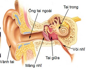 Lấy ráy tai dễ mắc bệnh  ảnh 1 Lay ray tai de mac benh anh 1