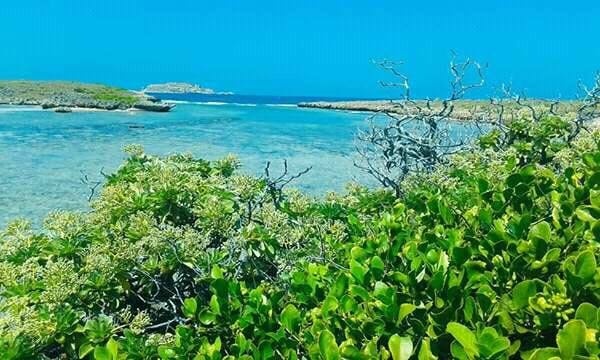 Hon Do -  diem den tuyet dep cho ngay he hinh anh