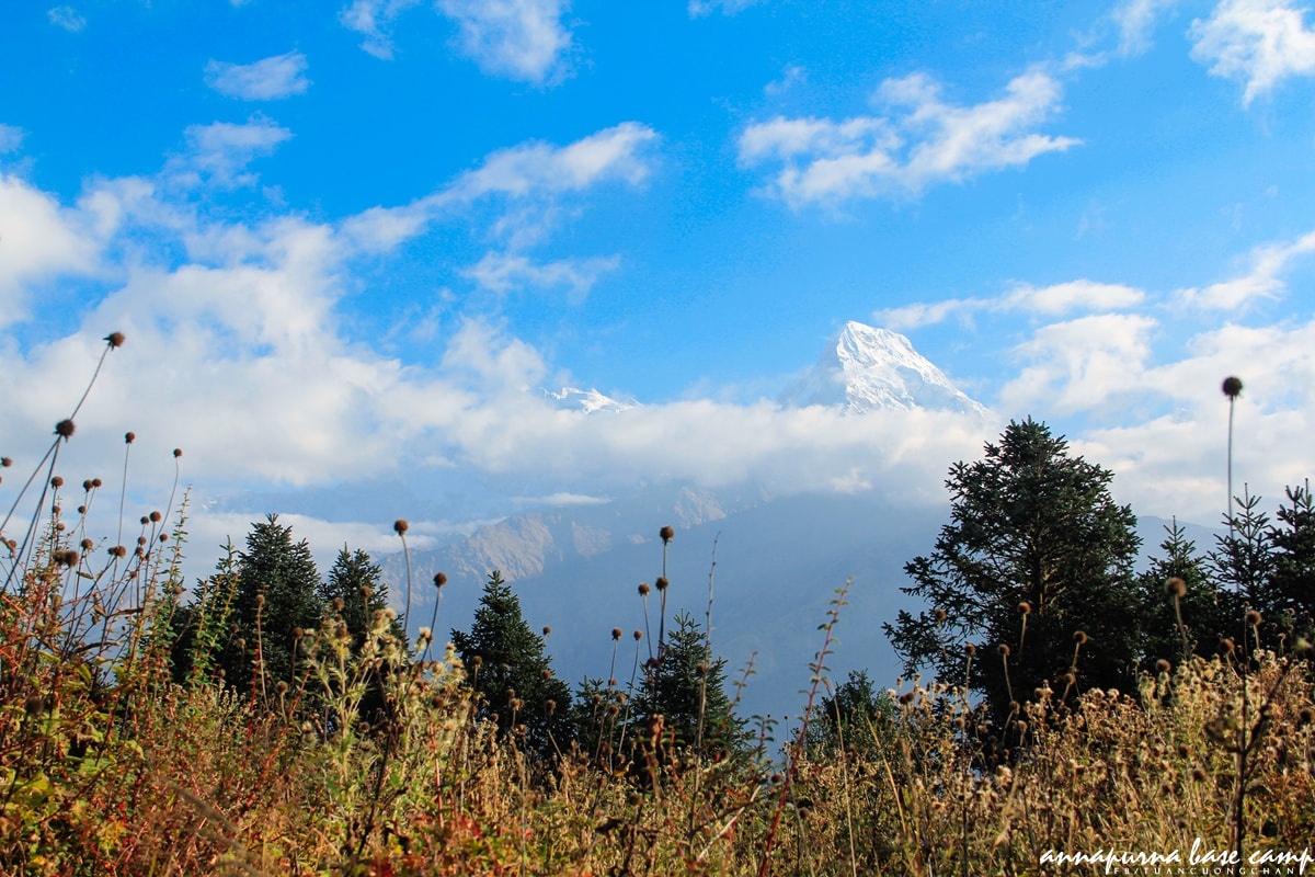 Chinh phuc Annapurna Base Camp anh 7