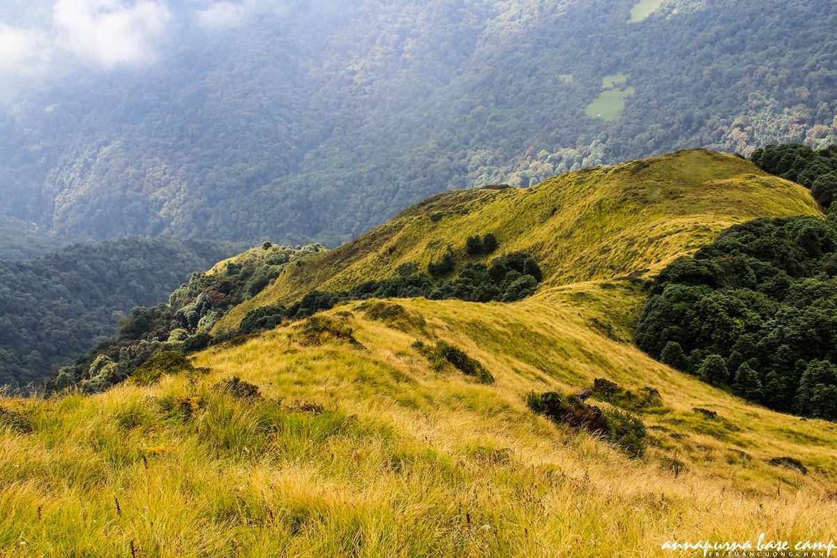 Chinh phuc Annapurna Base Camp anh 8