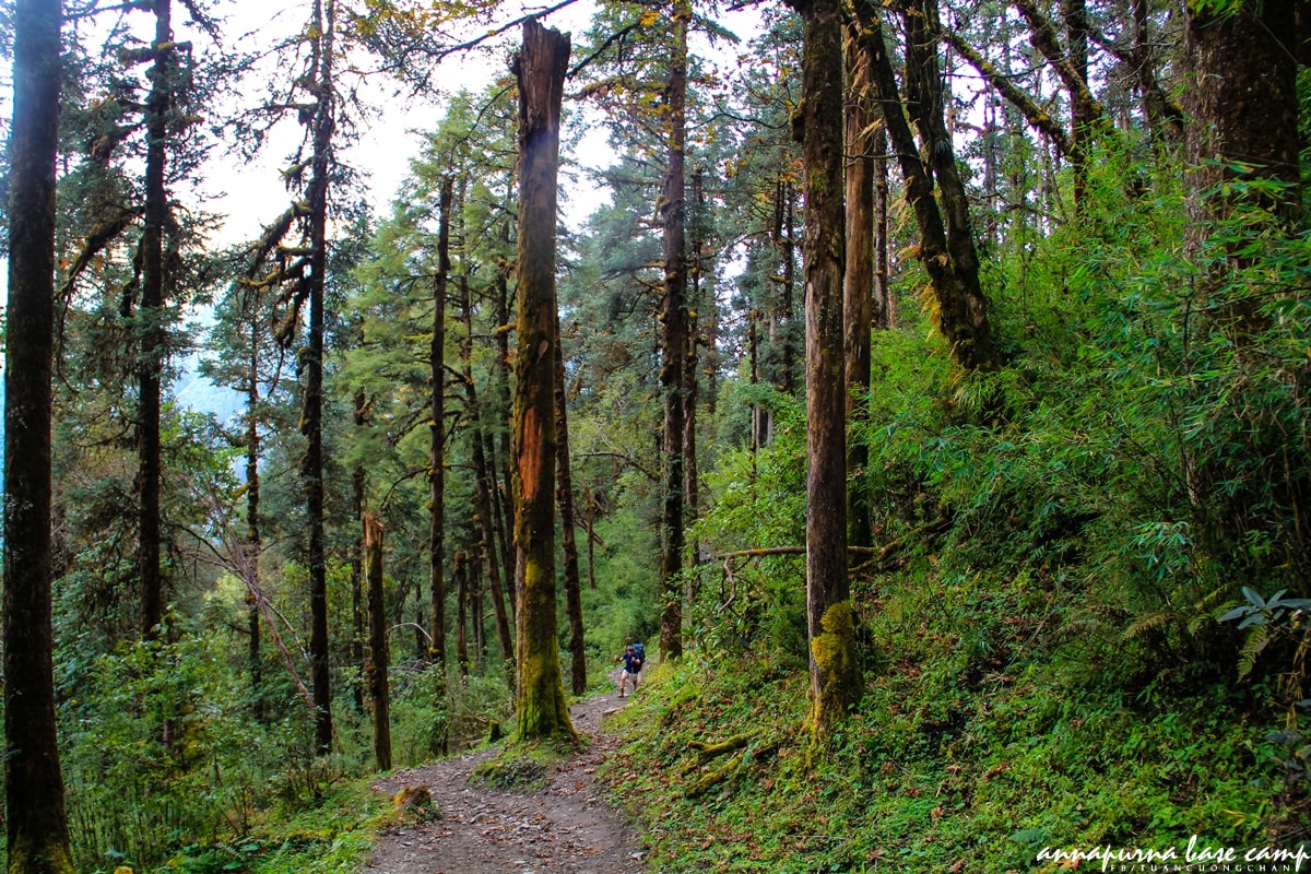 Chinh phuc Annapurna Base Camp anh 9