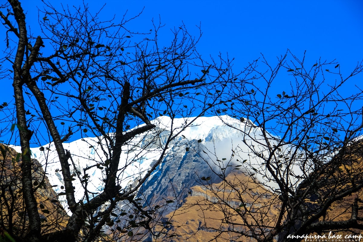 Chinh phuc Annapurna Base Camp anh 16