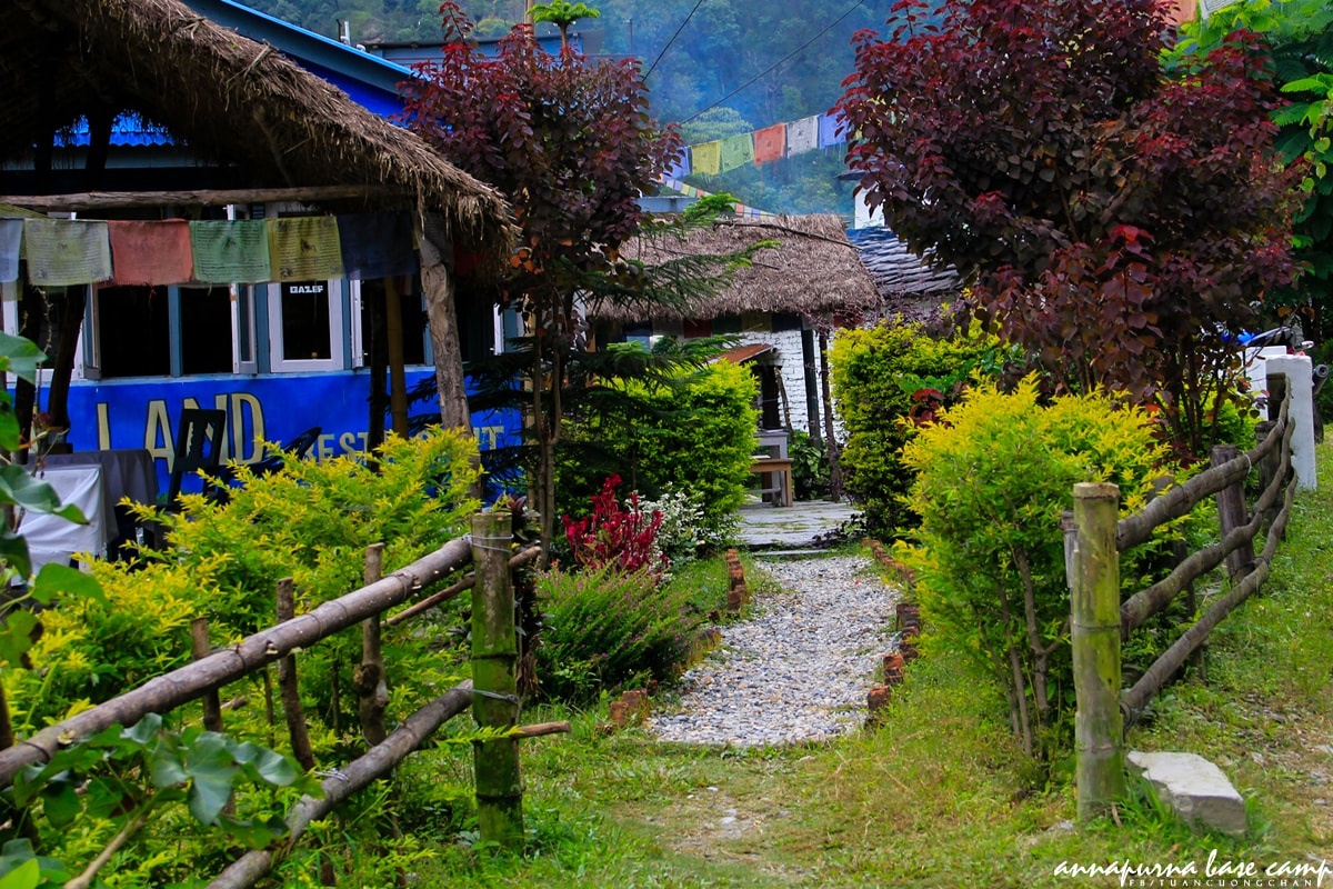 Chinh phuc Annapurna Base Camp anh 1
