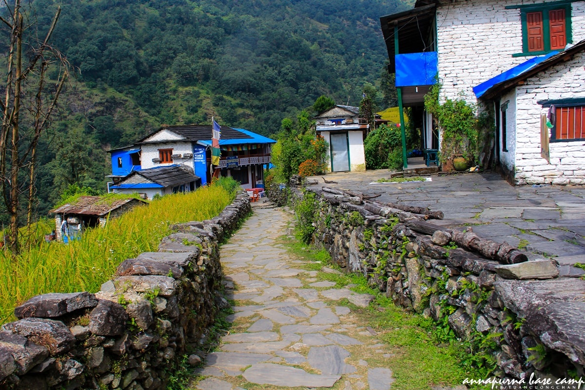 Chinh phuc Annapurna Base Camp anh 3