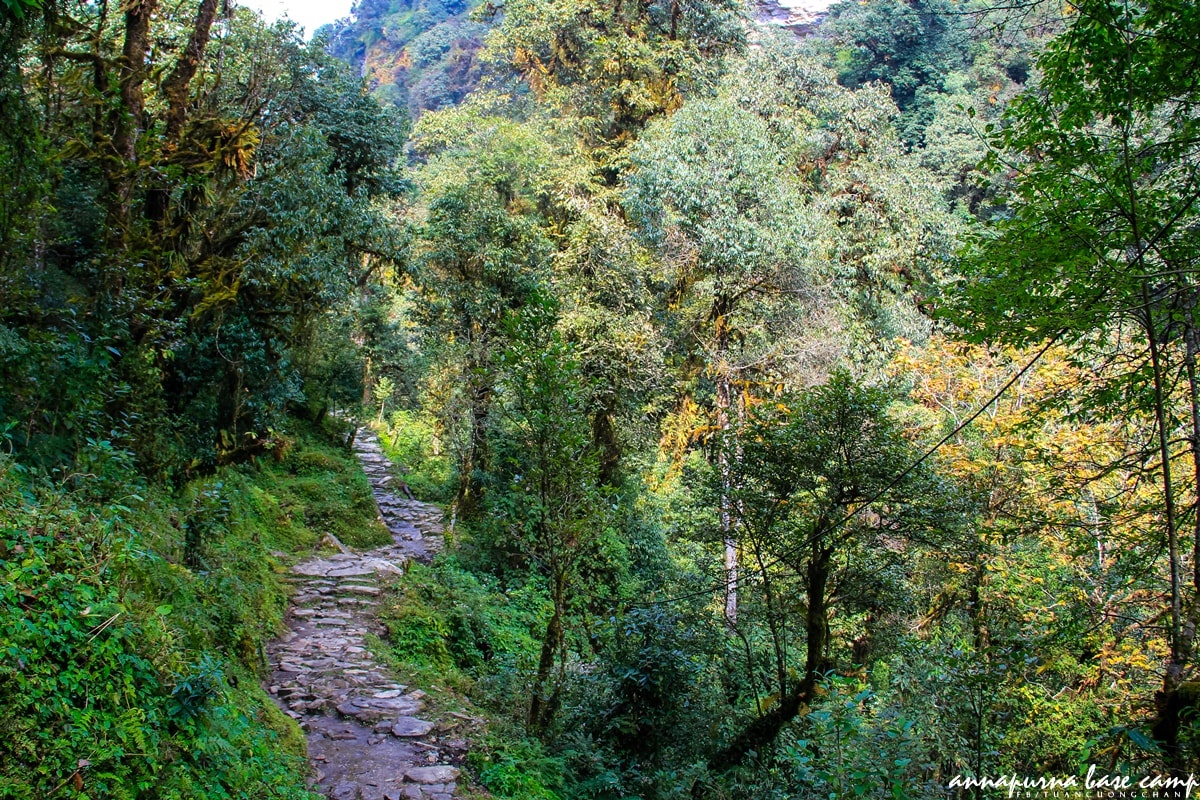 Chinh phuc Annapurna Base Camp anh 5